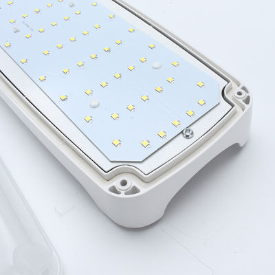 3000K 4000K 6500K Moisture Proof LED Lights Multipurpose Durable