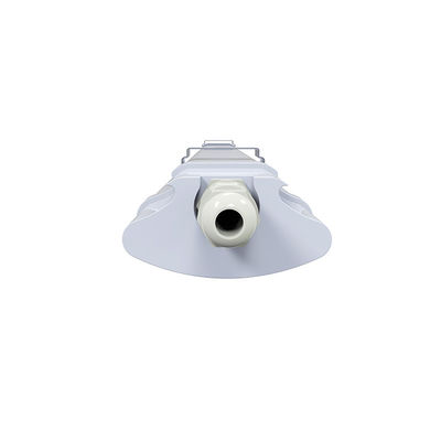 Stable Multifunctional Tri Proof Lamp , Anti Corrosion 20W LED Batten
