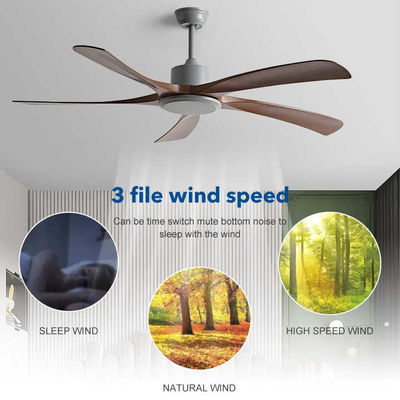 Easy Installation Pure Copper Motor Decorative 60 Inch DC ABS Blade Remote Control Modern Ceiling Fan Lighting